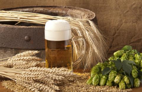 Quali sono gli ingredienti della birra?