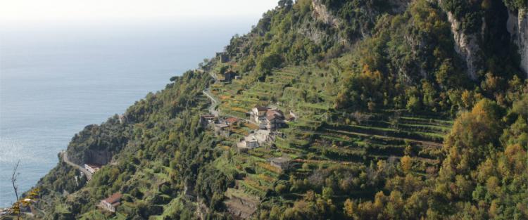 Marisa Cuomo: una storia di passione per la terra e il vino