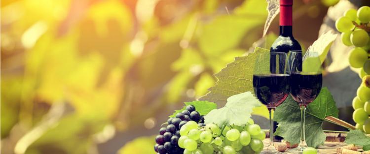 Un master unico al mondo per comunicare il vino