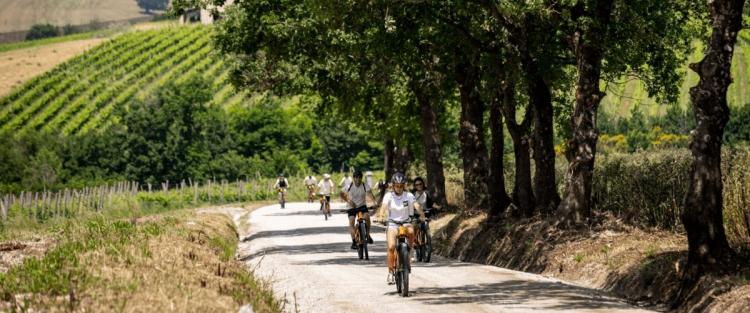 Montefalco Green, la nostra esperienza ecosostenibile in Umbria