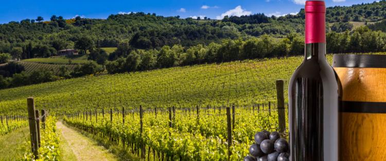 I 50 anni del Montepulciano d'Abruzzo