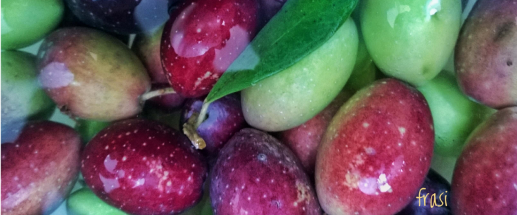 Le frodi sull'olio extravergine