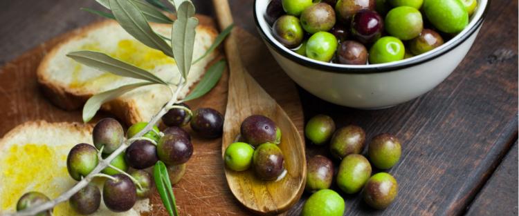 L'olio in Puglia 
