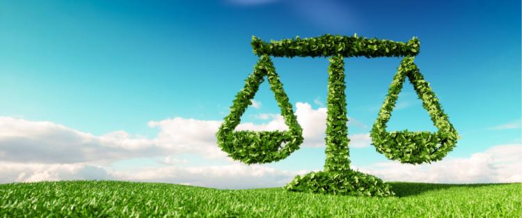 I provvedimenti agricoli nella legge di bilancio 2019