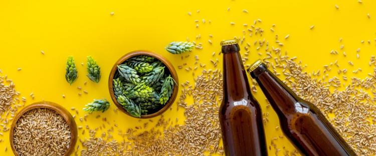 Quanta birra si può bere al giorno?