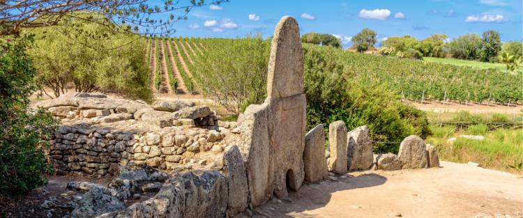 La Strada del Vermentino di Gallura DOCG