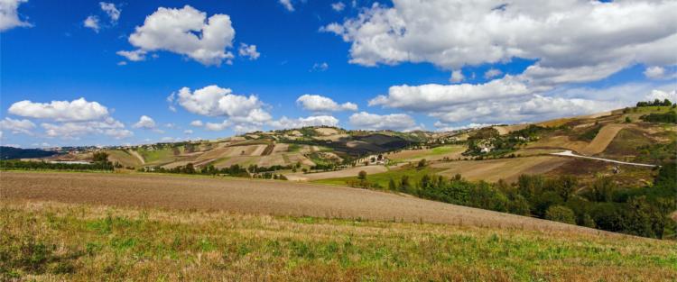 Strada del vino e dei Sapori d'Irpinia