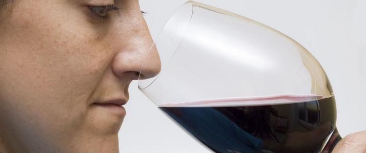 I tannini nel vino