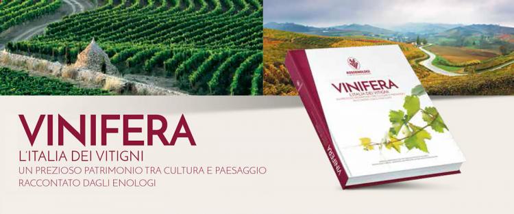 Vitigni d'Italia