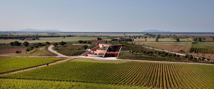 Vinificazione per gravità: una nuova sfida nel cuore della Maremma