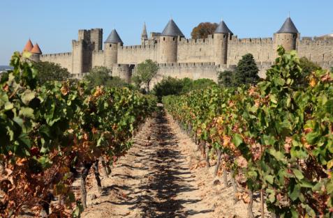 Il vino ai tempi del Medioevo