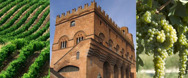 Wine Show a Orvieto: 3 e 4 giugno 2017