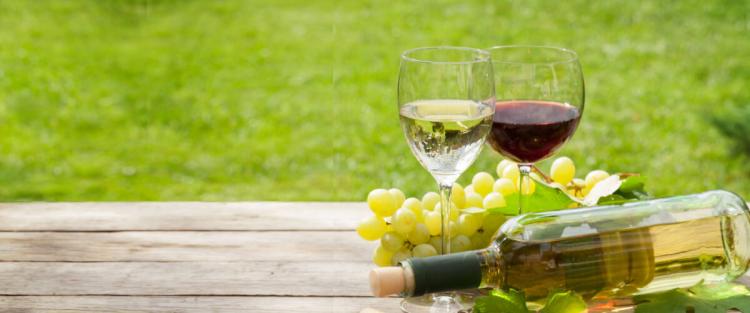 Vini del Sannio: Aglianico del Taburno e Falanghina