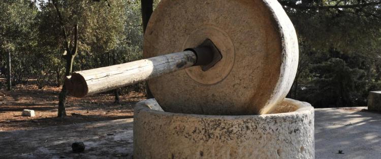 La produzione dell'olio nell'antichità