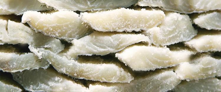 Itinerario enogastronomico nella provincia di Pisa