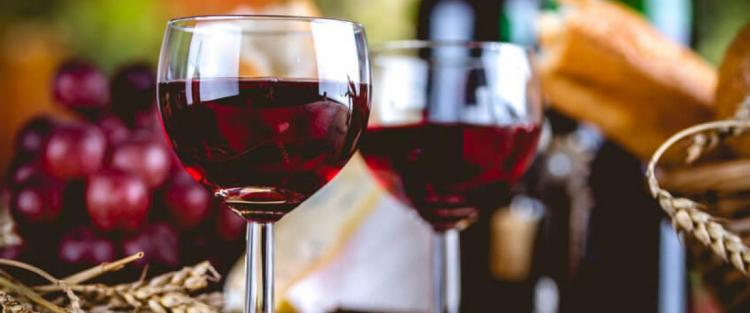 Cantine Aperte 2022 nelle Marche