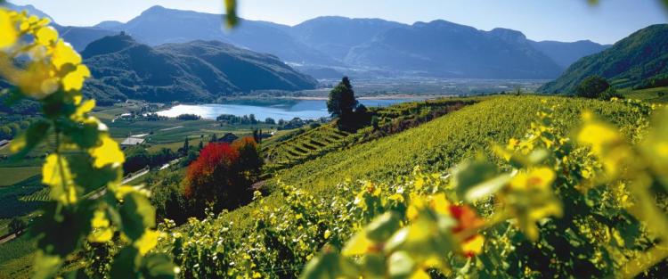 L'accoglienza in Alto Adige per gli amanti del vino