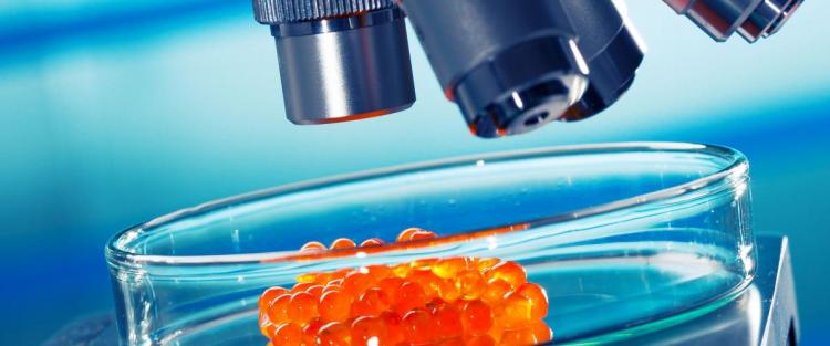 Il nuovo Regolamento 625/2017 per il controllo sugli alimenti