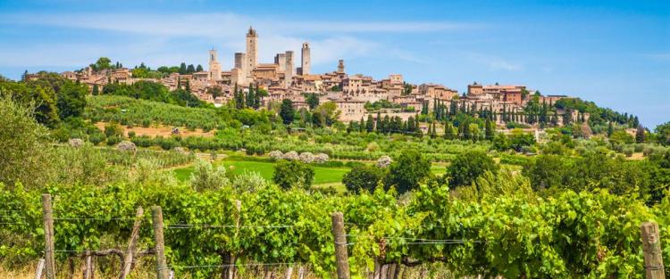 Vernaccia di San Gimignano. 1276-2016: il suo lungo viaggio