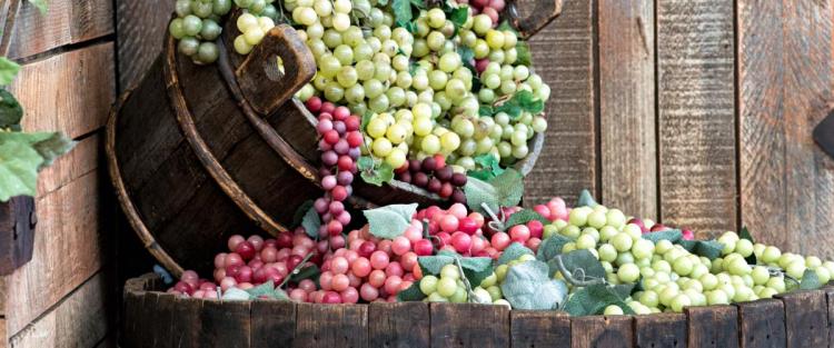 Vendemmia 2013, 2014 e 2015 a confronto
