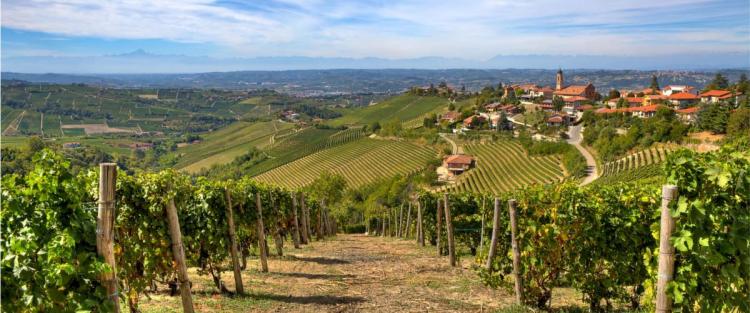 Cantine Aperte in Vendemmia 2018 in Campania