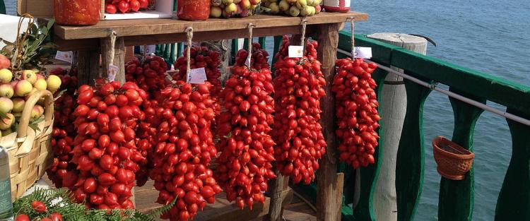 Storia e caratteristiche del pomodoro San Marzano