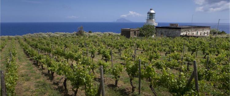 Conosci la Malvasia delle Lipari?