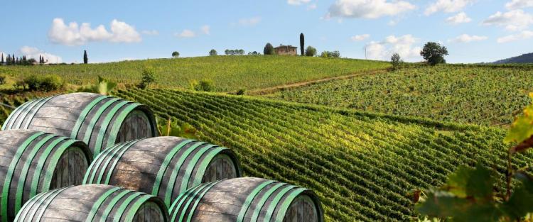 Consorzio del Chianti: minore produzione per una maggiore qualità