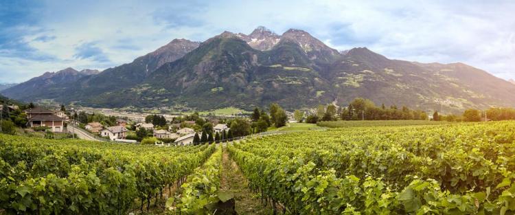 Cantine Aperte 2018 in Valle d'Aosta