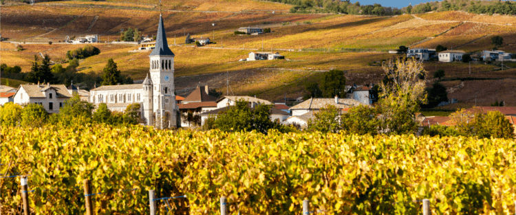 La Borgogna e i grandi vini di Francia
