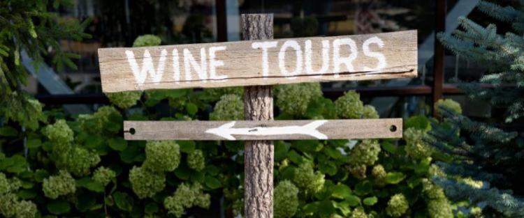 Conseguenze della pandemia sull'enoturismo
