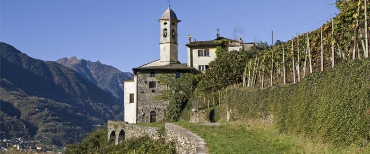 La Strada del Vino della Valtellina
