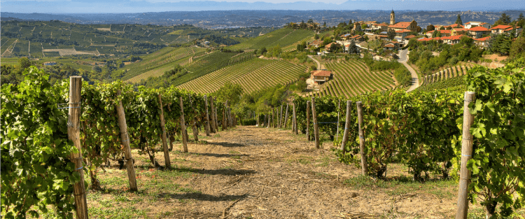 I vini lungo la Via Salaria e la Via Traiana: itinerario Abruzzo – Puglia