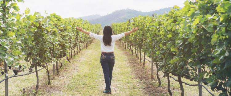 Vino e pandemia: le Donne del vino fanno il punto della situazione nel mondo