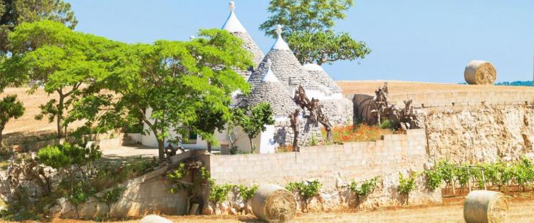 La geografia dei vini di Puglia