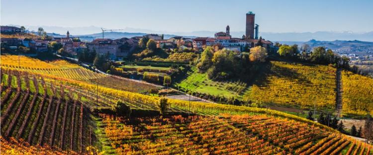 La Strada del Barolo