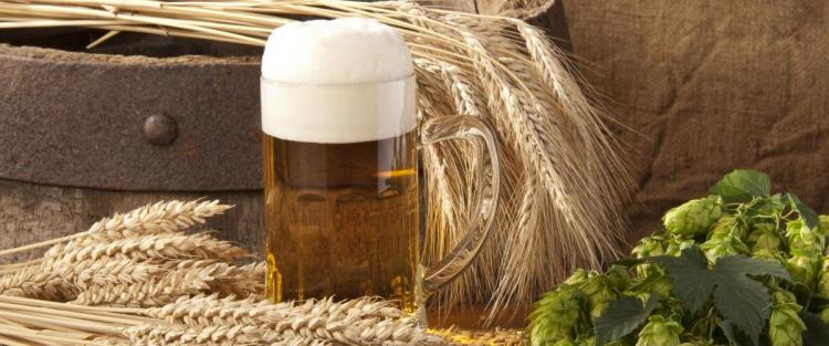 Quali sono gli ingredienti della birra?