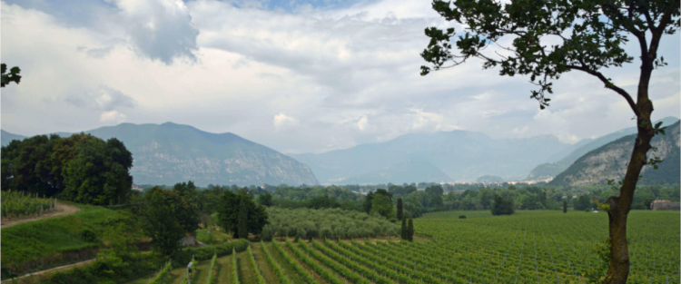 Alla scoperta della Franciacorta: il percorso verde