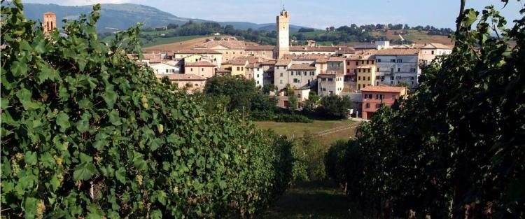 Strada del Verdicchio dei Castelli di Jesi