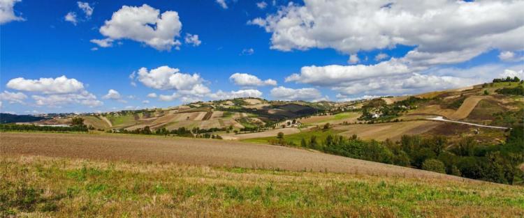 Strada del vino e dei Sapori d'Irpinia