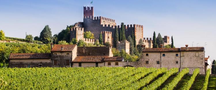 Viaggio nelle tante zone vitivinicole del Veneto