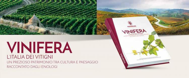 Vitigni d'Italia