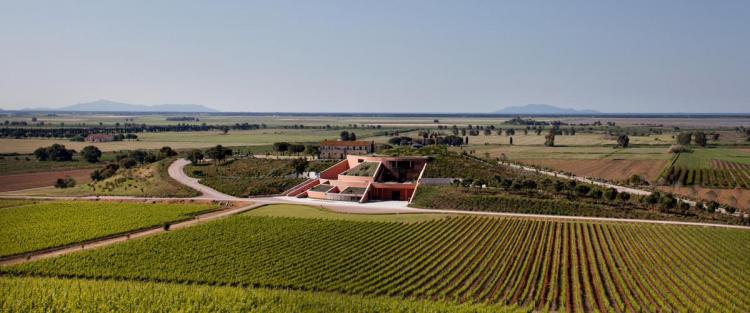 Vinificazione per gravità: una nuova sfida nel cuore della Maremma