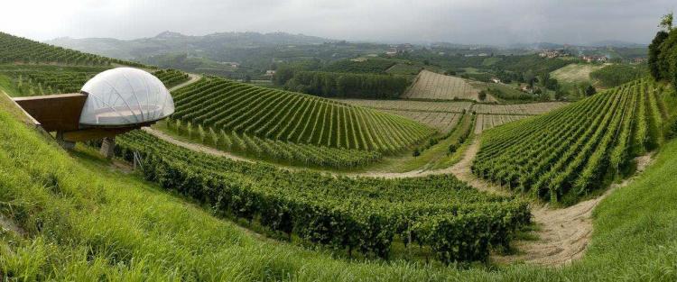 Il vino in Abruzzo, custode di preziosi vitigni autoctoni