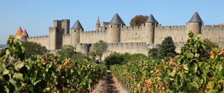 Il vino ai tempi del Medioevo