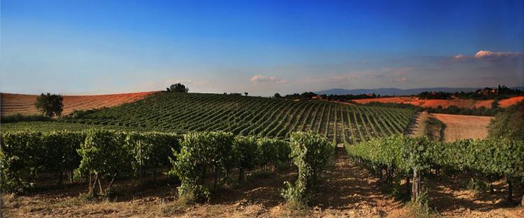 Weekend per cantine in Toscana
