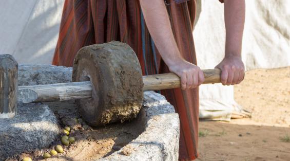 La produzione di olio in Italia dal Rinascimento all'età contemporanea