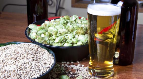 Cosa è la birra cruda?