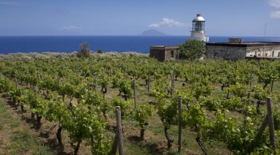 Conosci la Malvasia delle Lipari?