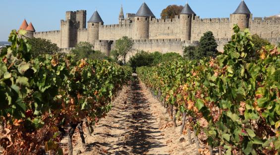 Il vino ai tempi del Medioevo